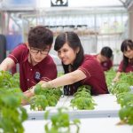 Lựa chọn ngành công nghệ sinh học